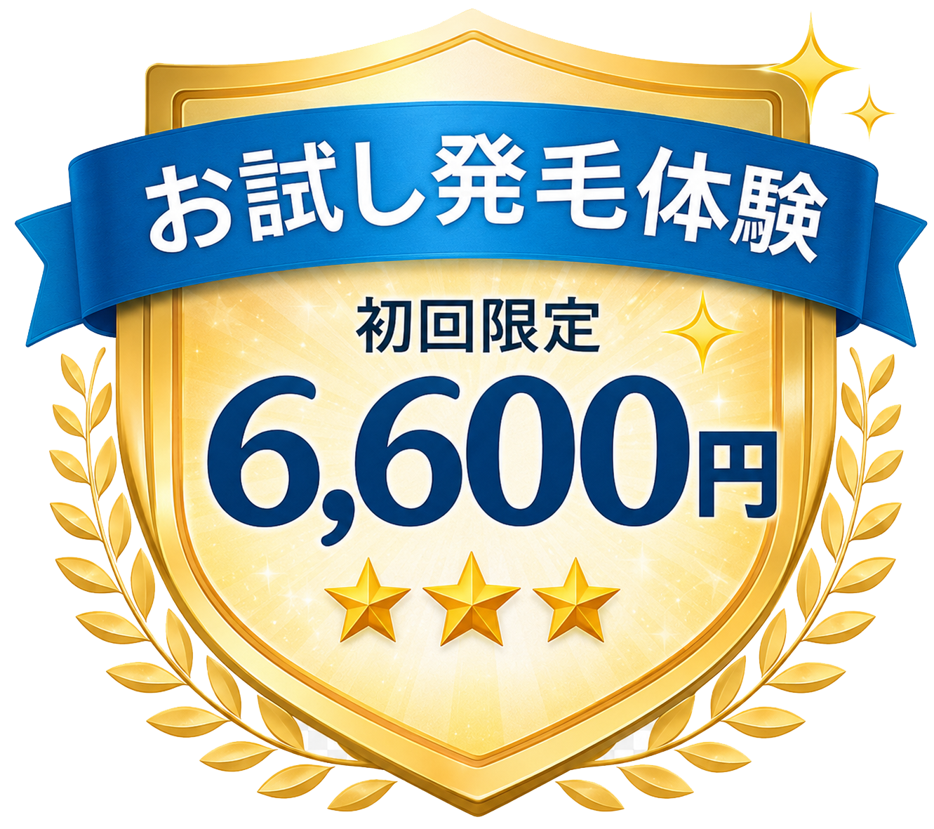 お試し発毛体験 治療前 6,600円