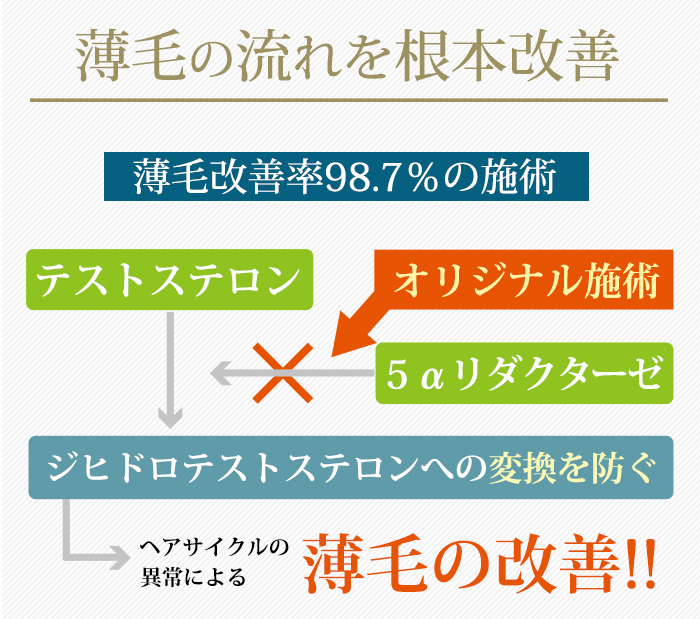薄毛改善フロー図解