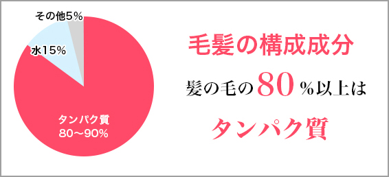 毛髪の構成成分はたんぱく質が中心